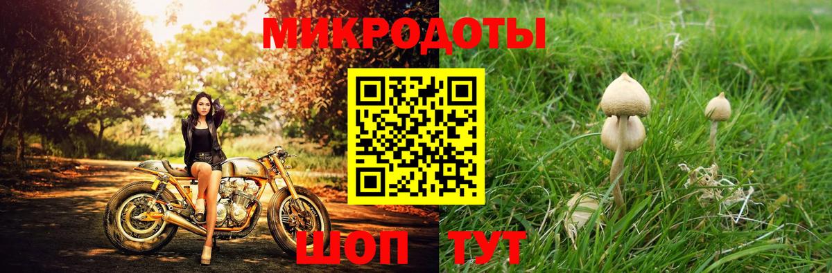 Псилоцибиновые грибы Magic Shrooms  Галлюциногенные грибы прущие грибы  купить наркотик  Вход с VPN  Мелеуз 